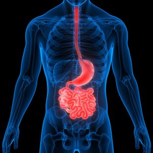 Gastric Transit Bipartition (Diabetes Mellitus/Metabolic Surgery)